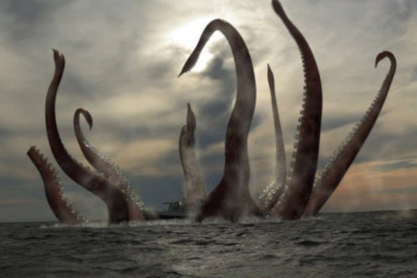 Kraken official